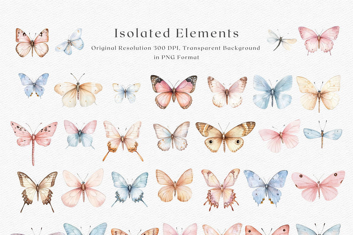 Spring Wings - Butterflies Clipart, a Decorative Illustration by ThaismotaCreativeCo (Photo 3 of 6)