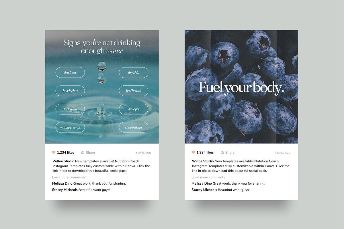 Nutrition Coach Bundle - Canva, a Social Media Template by Willoe Studio (Photo 3 of 9)