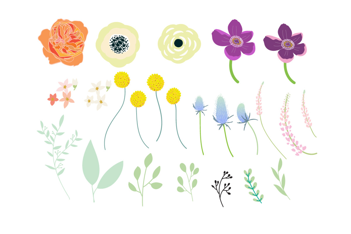 Wild FLOWER Hand drawn elements, a Decorative Illustration by MooBeer (Photo 3 of 8)