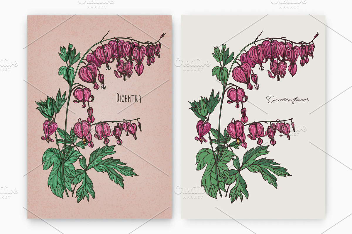 Dicentra with gorgeous flowers, a Decorative Illustration by Good Studio (Photo 1 of 5)