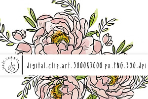 Hand Drawn Pink Peonies