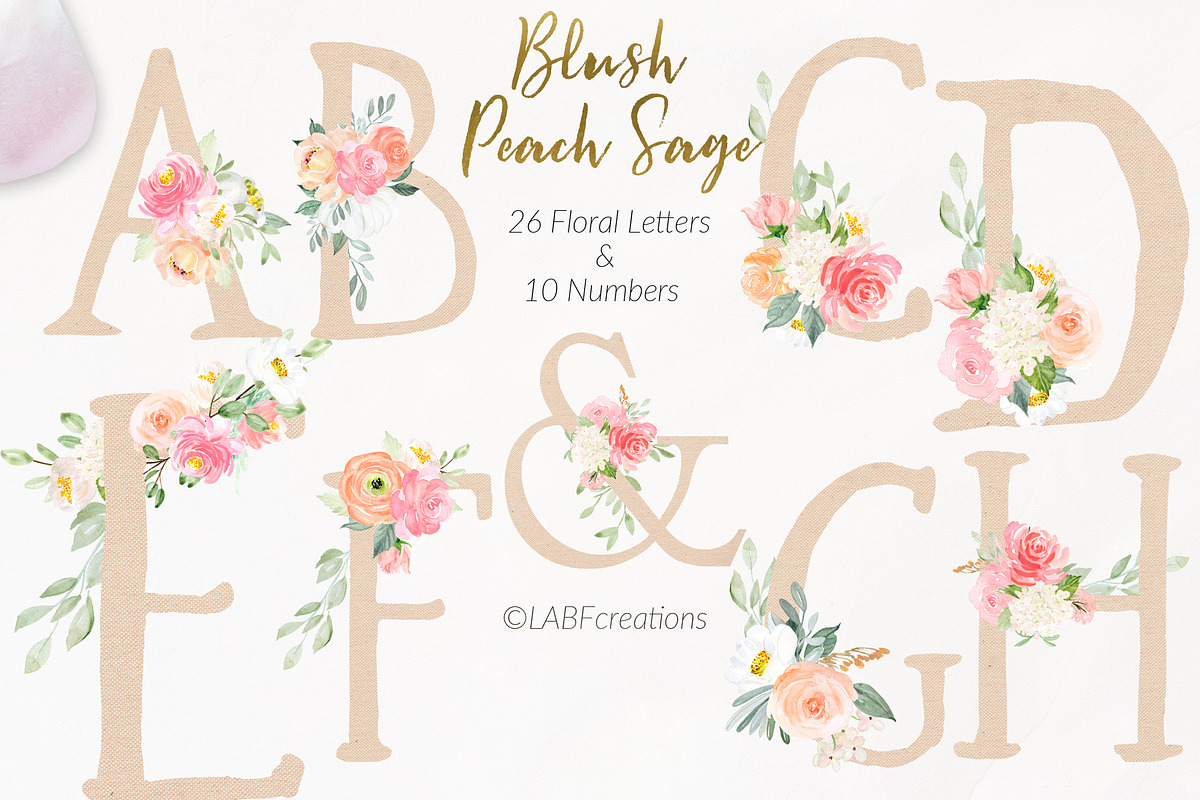 Blush Peach Sage flowers, a Texture Illustration by LABFcreations (Photo 12 of 13)