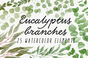 25 Eucalyptus Branches, an Illustration by Helga Wigandt (Thumbnail 1 of 5)