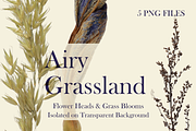 Airy Grassland — Flower Heads & Gras, an Object Graphic by Aga Silva (Thumbnail 4 of 5)