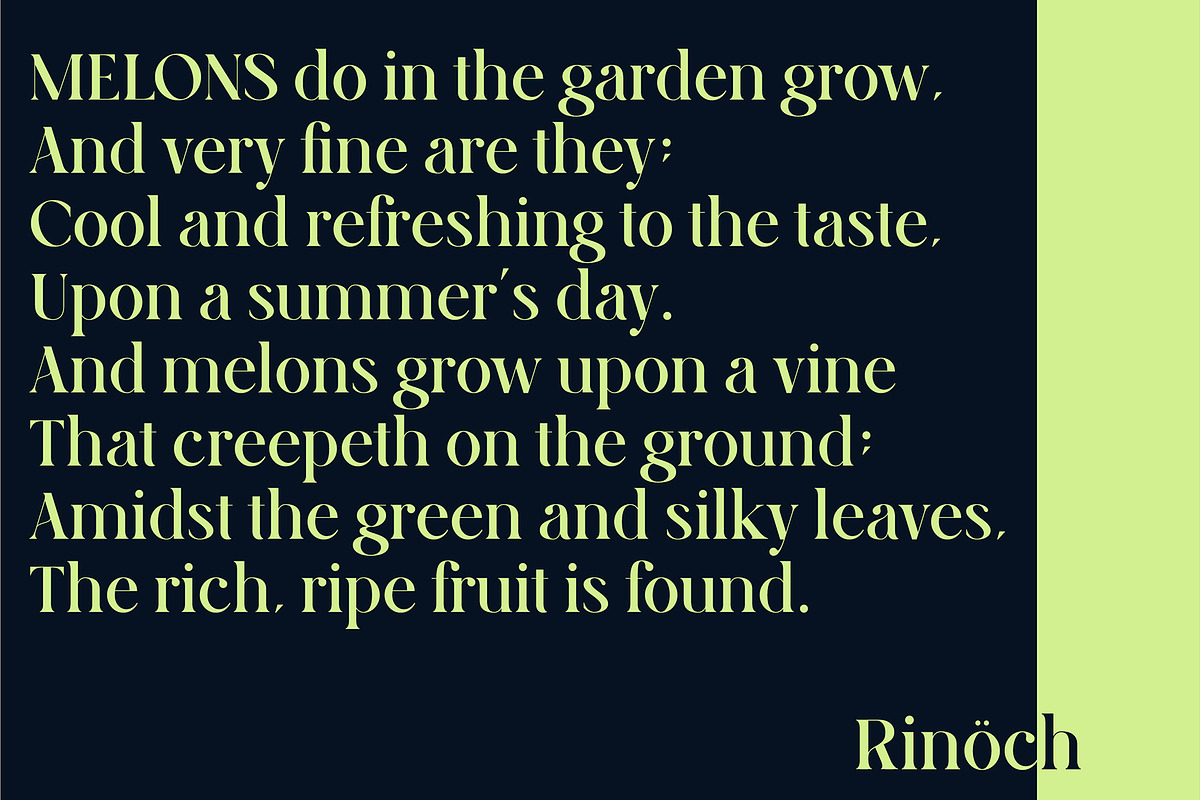 Rinoch | Serif Typeface, a Serif Font by Nowpe Studio (Photo 2 of 6)