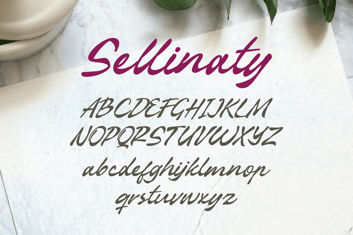 Sellinaty - Beautiful Script Font, a Script Font by overlaytemplates (Photo 4 of 5)