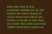 Hidden Salknow, a Serif Font by Design House (Thumbnail 3 of 3)
