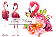 Watercolor Flamingo Set, an Animal Illustration by lilisavelieva (Thumbnail 1 of 2)