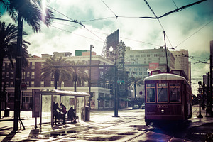Rainy morning in new orleans containing new orleans, palm, and rain
