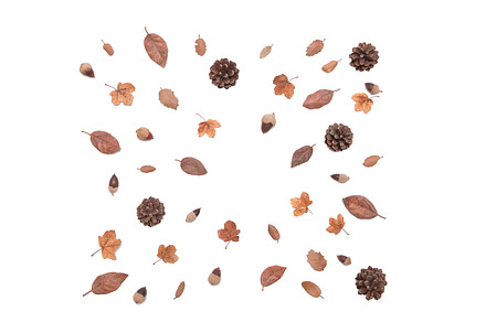 Autumn background isolated containing background, autumn, and nature, a Nature Photo by Click and Photo