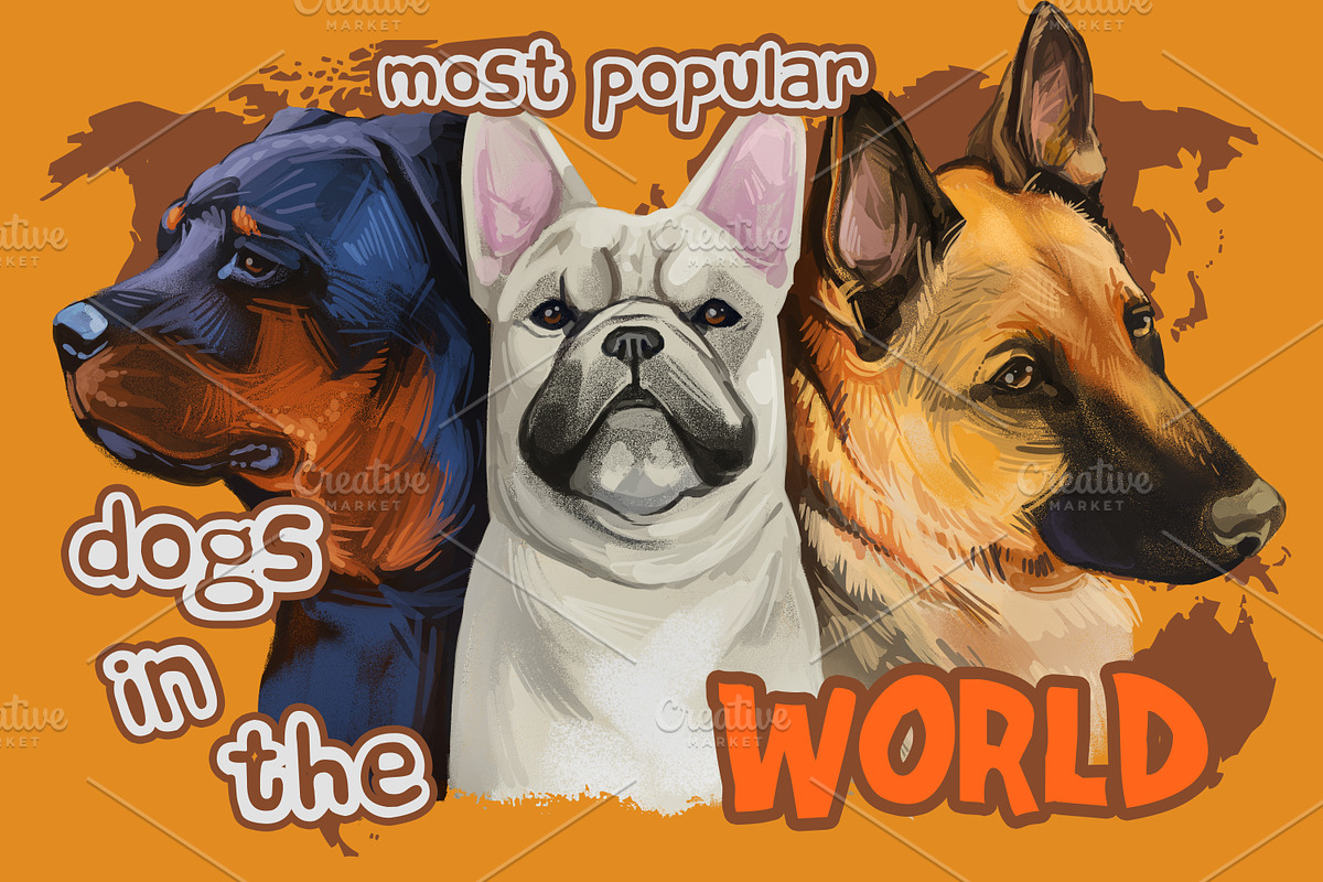 Dogs Most Popular in World,  510 Pet, an Illustration by Dneprstock (Photo 1 of 5)
