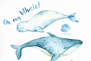 Oh My Whale! Watercolor Clip Arts, an Animal Illustration by everysunsun (Thumbnail 4 of 4)
