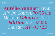 Morland – A Modern Elegant Serif, a Slab Serif Font by roomspace creative lab (Thumbnail 10 of 15)