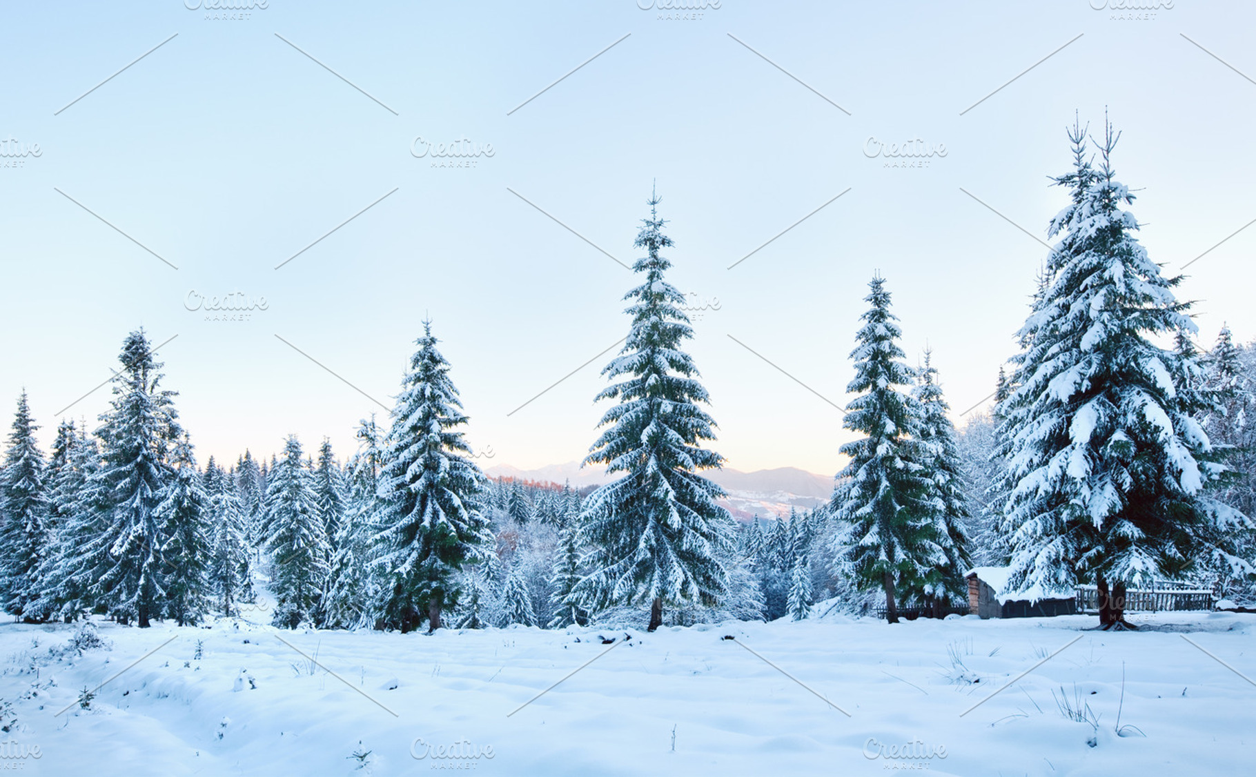 Winter snow covered forest stock photo containing ukraine and beautiful, a Nature Photo by YuriyB