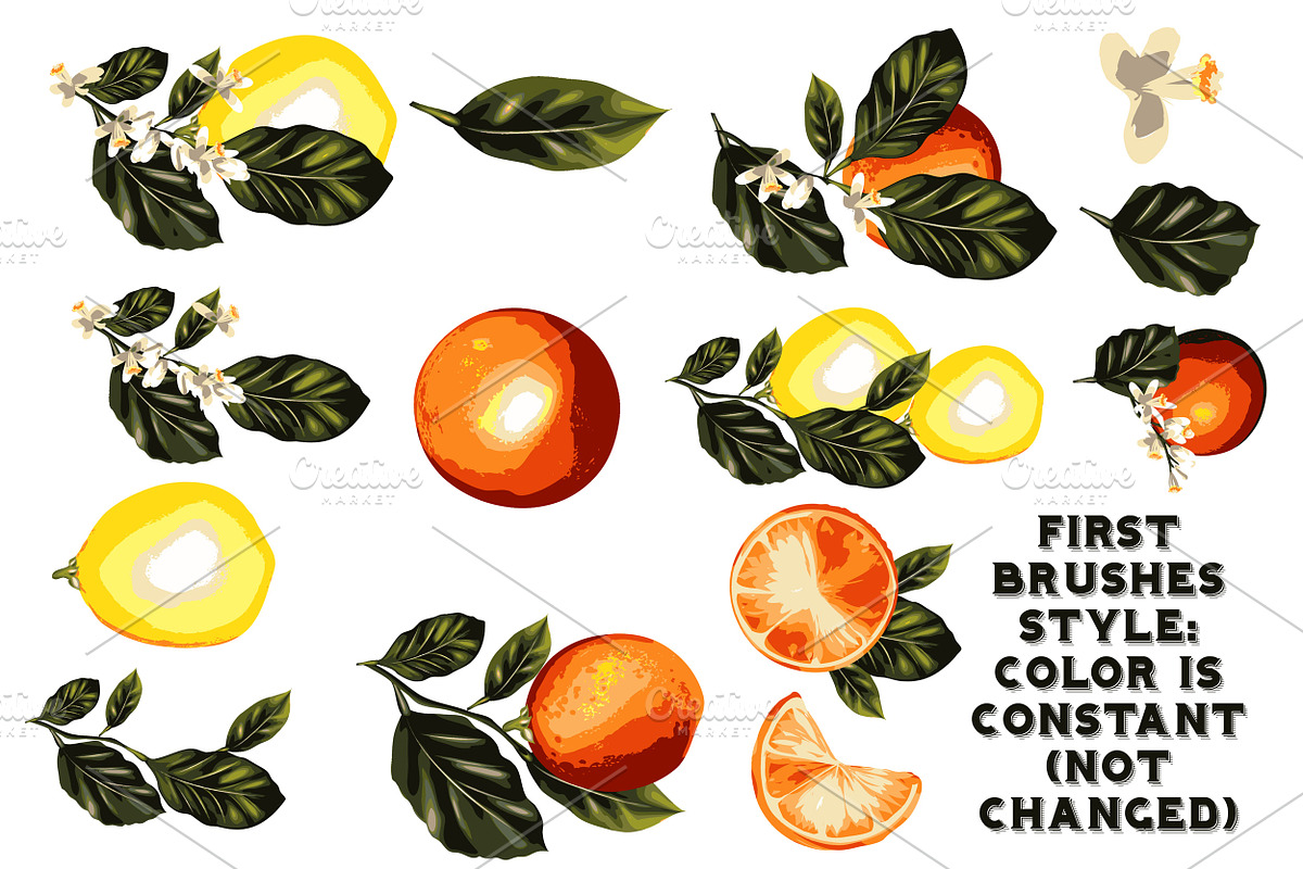 set of flowers brushes2 preview 2