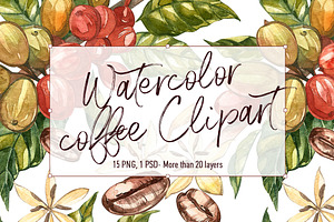 Coffee in botanical style