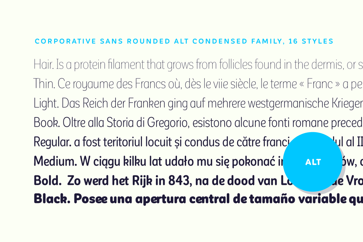 Corporative Sans Rnd Cond - 50% OFF preview 7