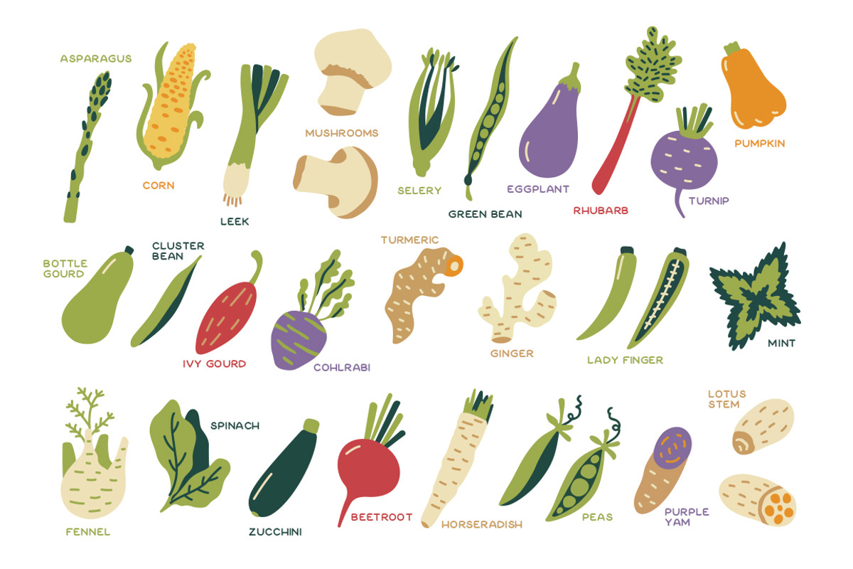 Fruits Vegetables Berries Collection, a Food Illustration by Chelovector (Photo 5 of 6)