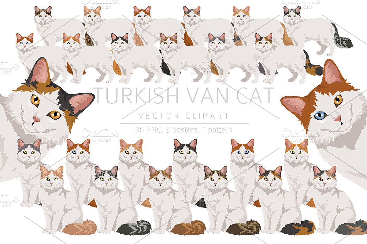 Turkish Van cat clip art, an Animal Illustration by pet design shop (Photo 1 of 5)