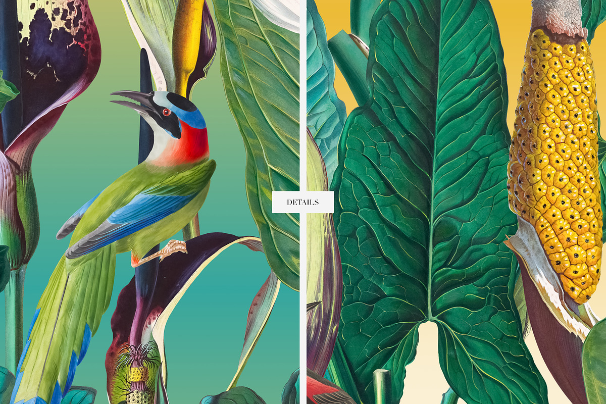 Exotic Tropical Patterns & Motifs, a Pattern Graphic by LEAFure (Photo 7 of 13)