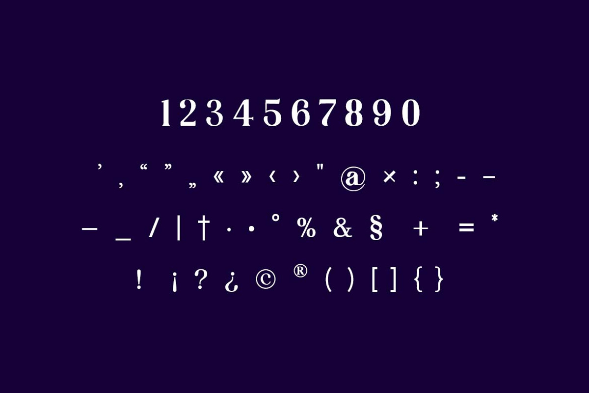Backswings Modern Serif Family Font, a Serif Font by UICreative (Photo 3 of 13)
