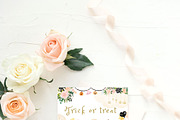 Trick or treat halloween clipart, an Animal Illustration by heyiamalice (Thumbnail 8 of 13)
