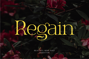 Regain - Beautiful Serif