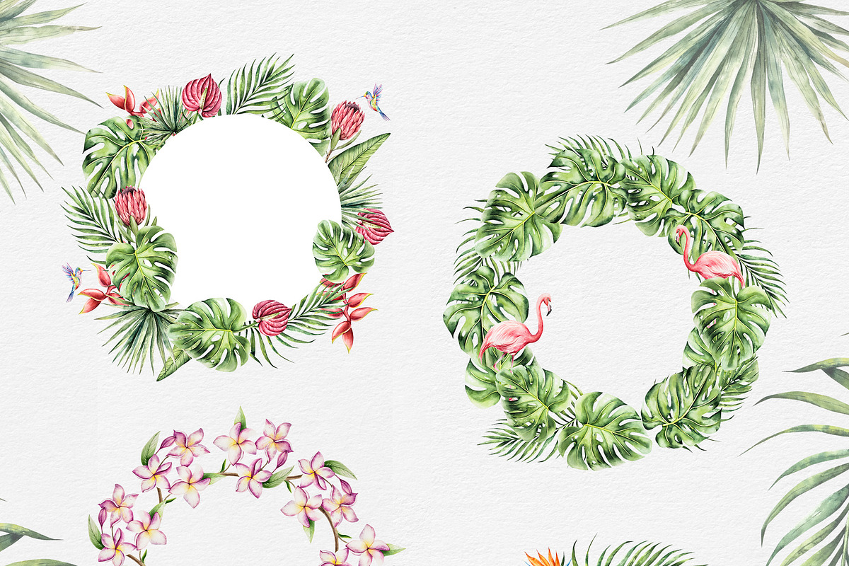 TROPICAL FOREST - Watercolor set, an Animal Illustration by Navenzeles (Photo 8 of 16)