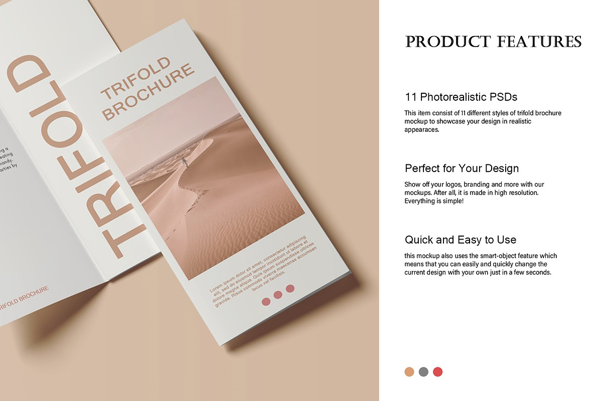 Trifold Brochure Mockup, a Books & Magazine Mockup by Lxadesign (Photo 5 of 18)