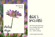 +38 Petal Haze Dreamy Blurred Flower, a Background Graphic by The Journey Atelier (Thumbnail 2 of 17)