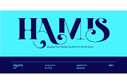 Hamis Font, a Font by Foda Foundry (Thumbnail 4 of 6)