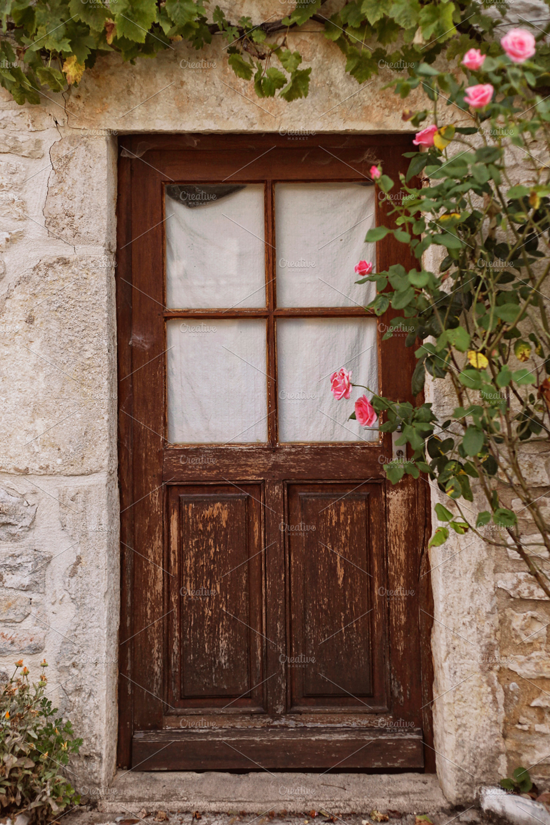 Secret door, an Animal Photo by AlinLyre