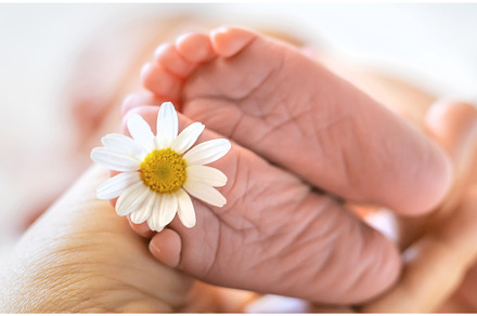 Newborn baby feet with chamomile, a Person Photo by yanadjana