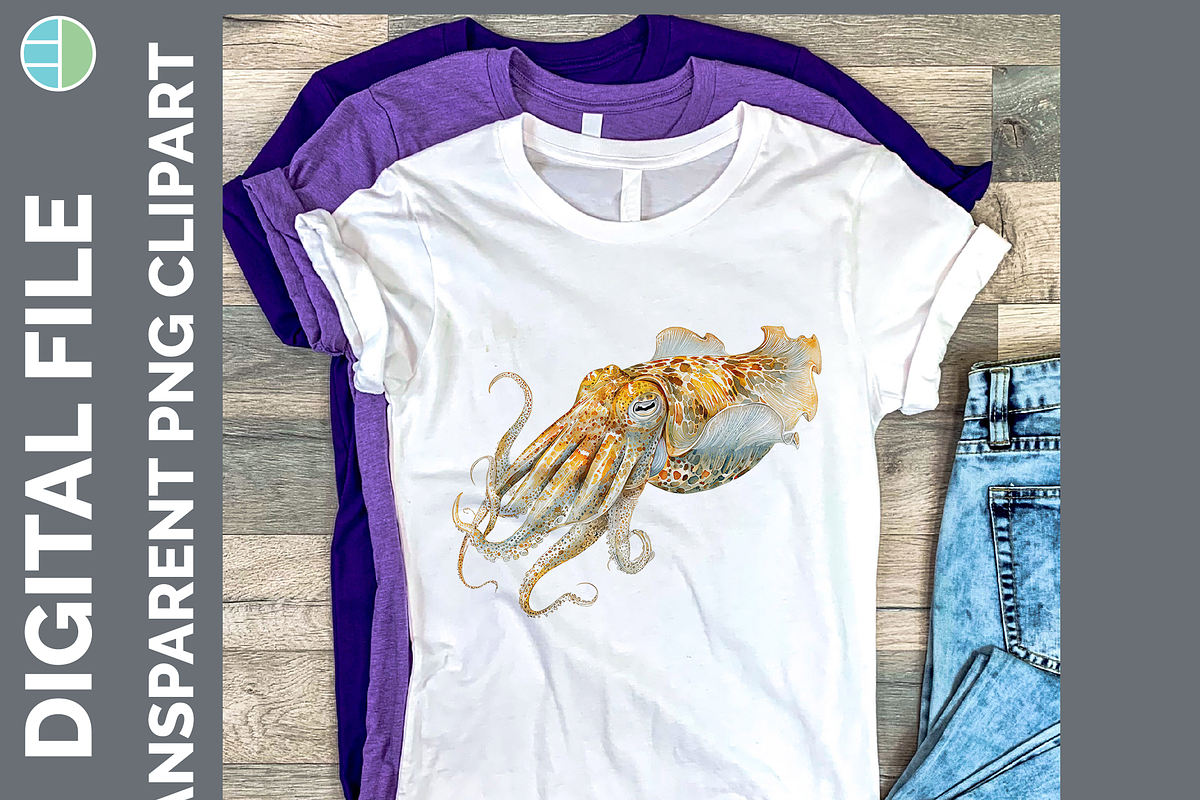 Marine Invertebrate Clipart, 25 PNG, an Animal Illustration by Enliven Designs (Photo 3 of 8)