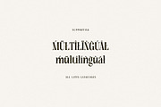 Tersakiti Elegant Modern Serif, a Serif Font by Cruzine (Thumbnail 8 of 8)