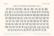 Cheqa a Luxury & Elegant Serif, a Serif Font by Lettertype Studio (Thumbnail 8 of 15)