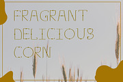 OLD MILL Font, a Sans Serif Font by CandiesnPixels (Thumbnail 3 of 6)