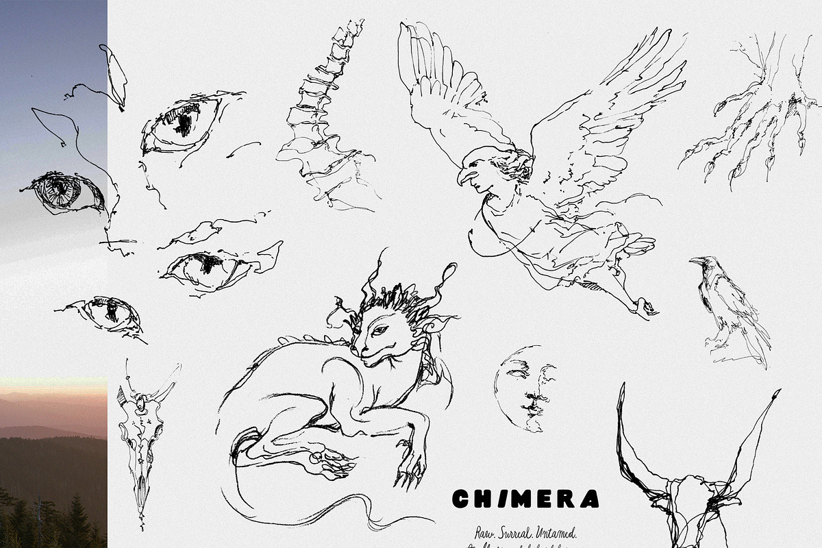CHIMERA: Raw Surreal Line Art, an Animal Illustration by Purple (Photo 8 of 12)