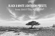 Black & White Lightroom Presets, an Action Add-On by Shutter Pulse (Thumbnail 1 of 5)