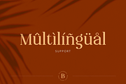 Bilderberg Beauty Serif Font, a Serif Font by peterdraw (Thumbnail 10 of 10)