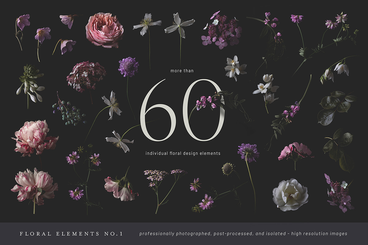 Nocturne - a dark floral collection, a Graphic by Anja Kaiser (Photo 2 of 13)