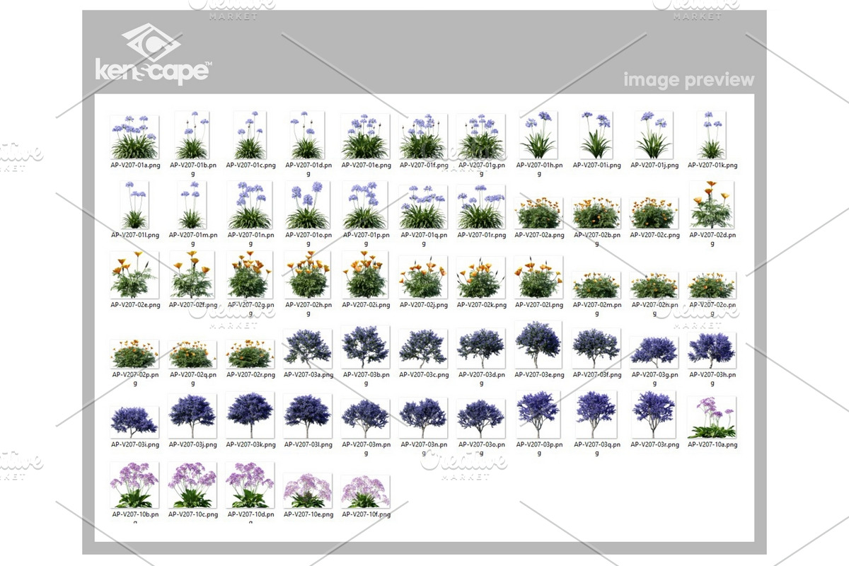 60 Assorted Plants Photo Overlays, a Nature Photo by KenScape (Photo 3 of 3)