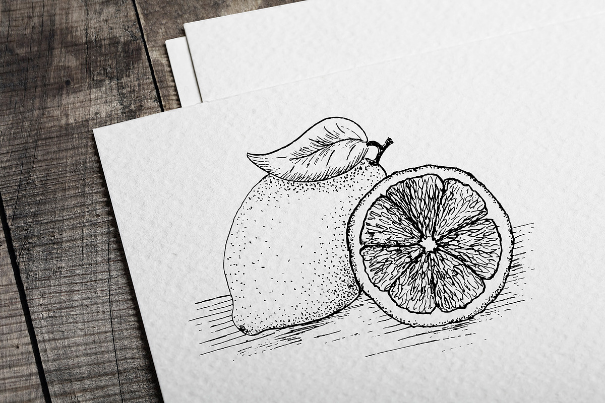 Lemon. Sketch and patterns, a Background Graphic by Canatic (Photo 2 of 19)
