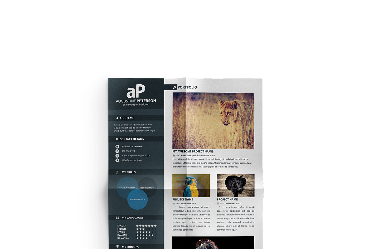 Simple Resume, a Resume Template by VladAlexandru93 (Photo 2 of 5)