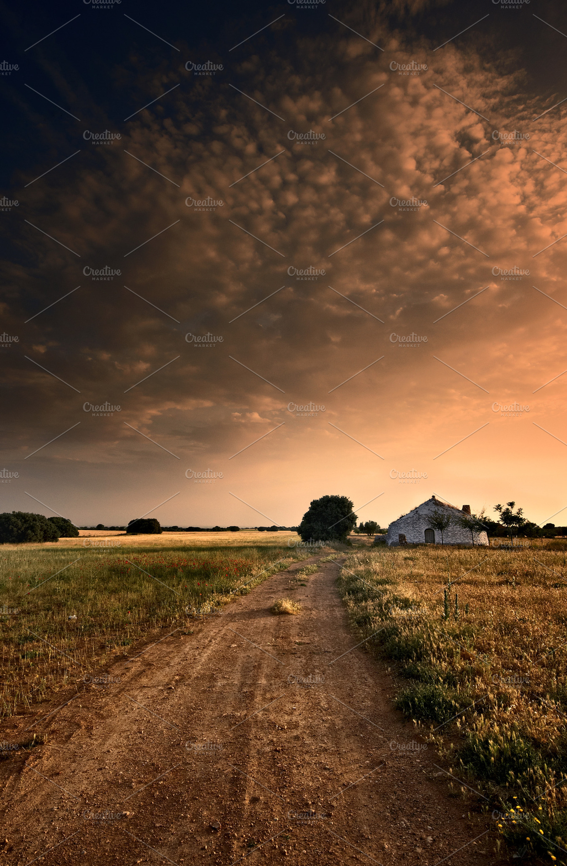 Sunset on spanish fields containing courses, spanish courses, and sunset