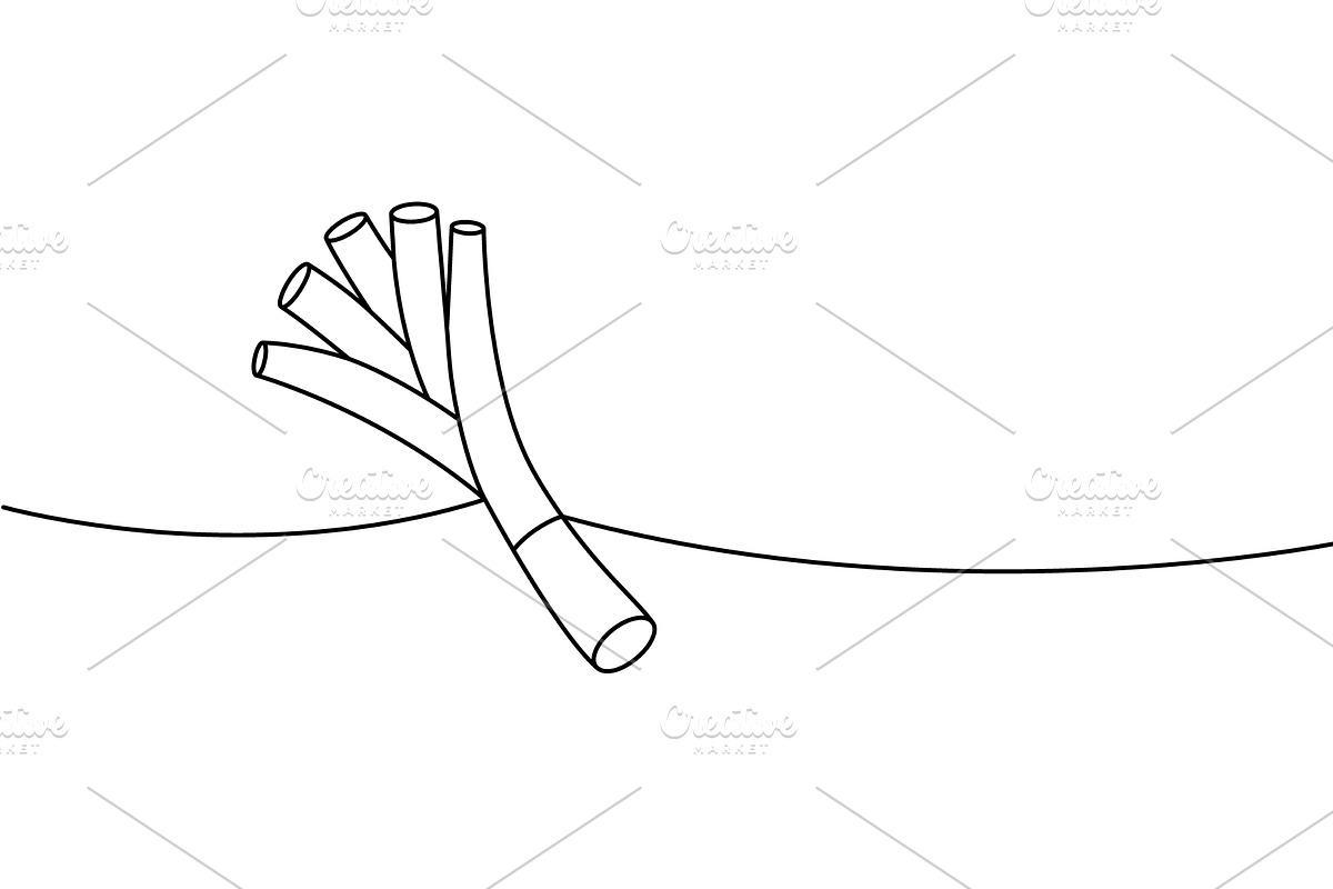 Spring onions one line continuous, a Food Illustration by GraphiShop