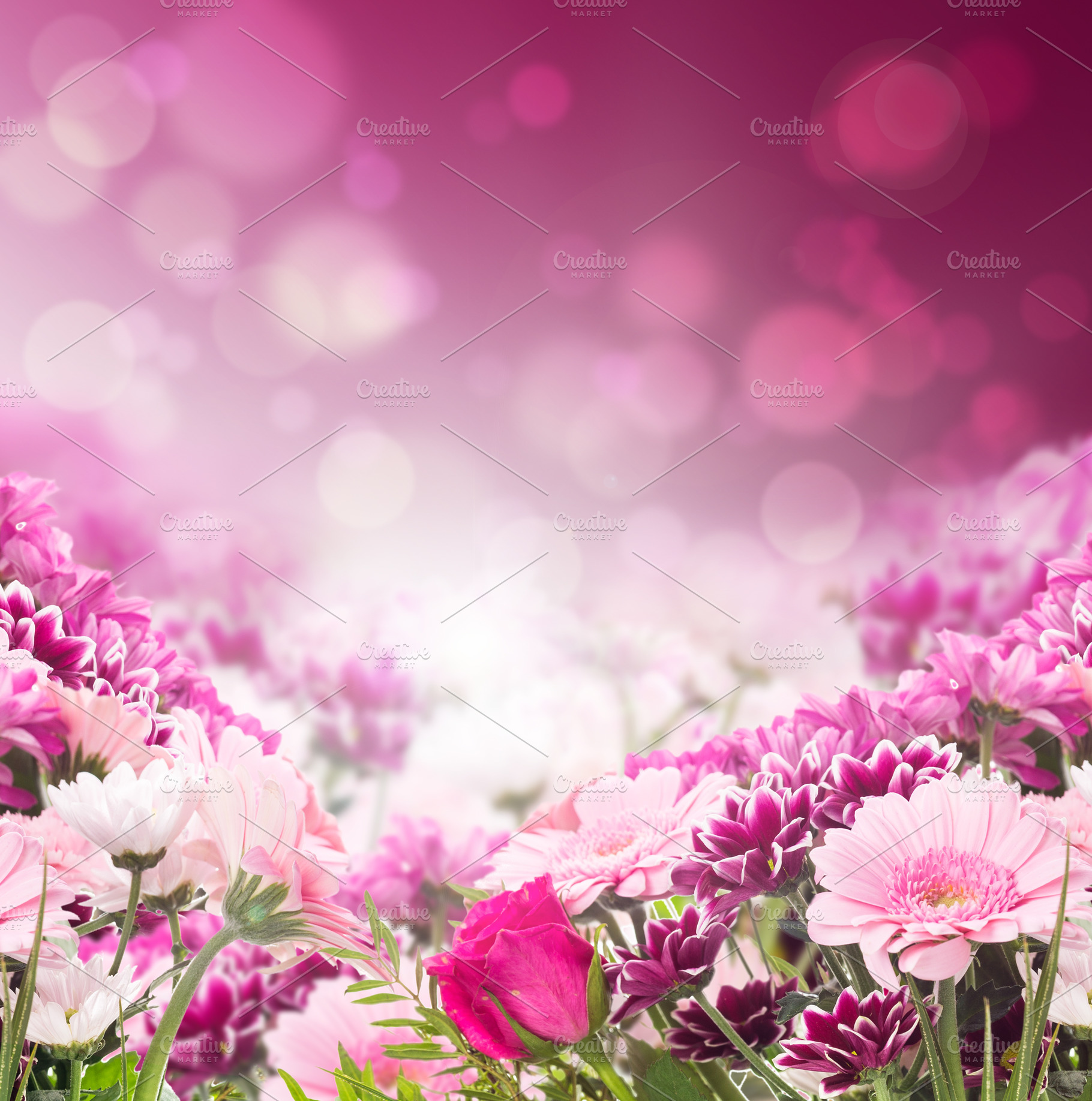 Pink and purple flowers at bokeh, a Nature Photo by VICUSCHKA