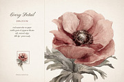 Vintage Postage Stamps & Envelopes, an Object Illustration by Where summer is (Thumbnail 14 of 16)