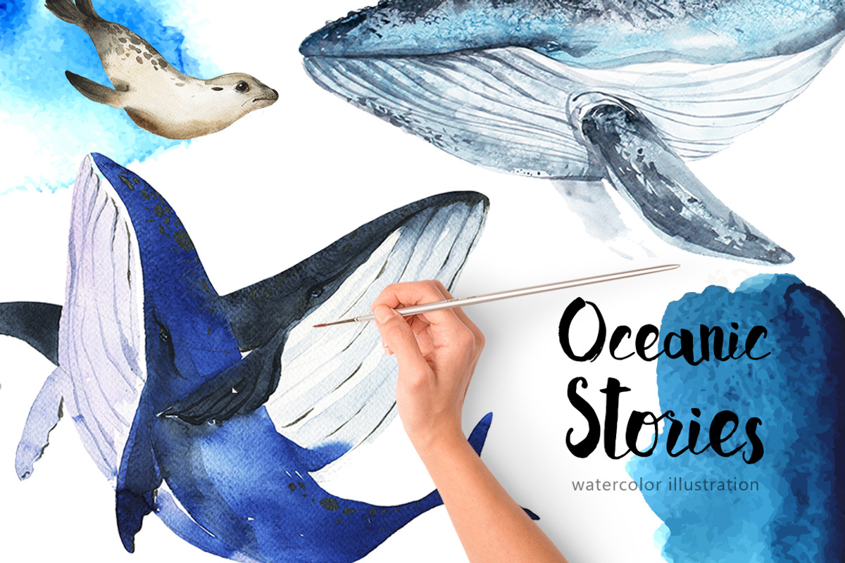 Oceanic Stories, an Animal Illustration by KatBranchArt (Photo 1 of 4)