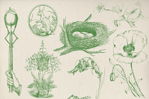 Birds, Bunnies & Blooms Brushes Set